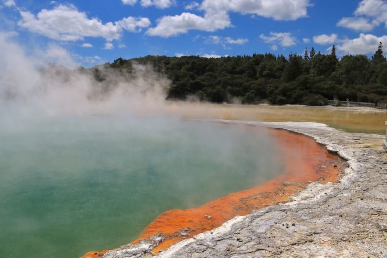 Wai-o-tapu Thermal Wonderland - a large body of water surrounded by a forest