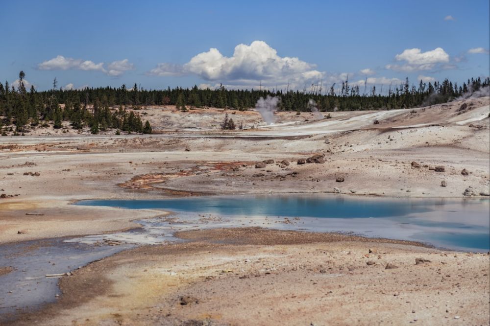 Thermal Springs - a large body of water surrounded by trees