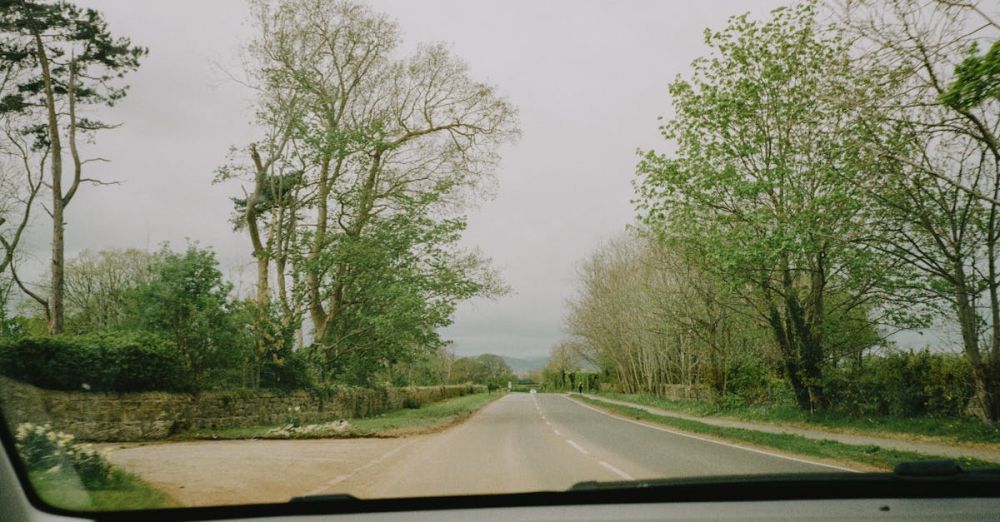 Thermal Trip - A view from the inside of a car looking down a road