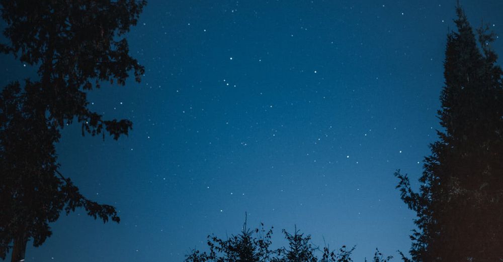 Camping Adventure - Photo of Tent at Near Trees