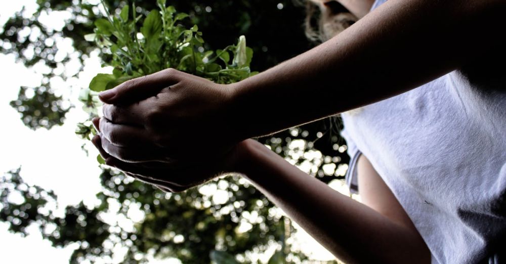 Tree Planting - Woman Holding Plant