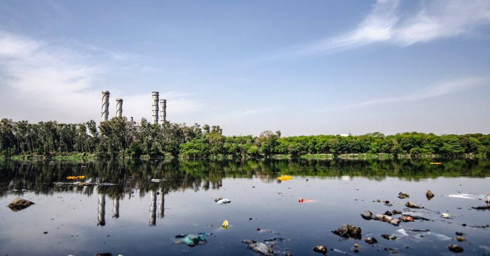 Zero-Waste Travel - Garbage on Body of Water