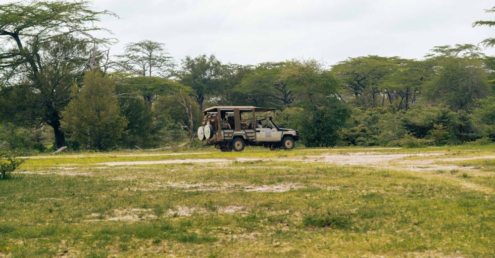 Safari Tour - A Safari Vehicle on a Grass Field