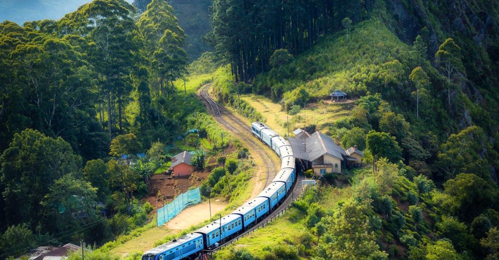 Milford Track - Photo Of Railway On Mountain Near Houses