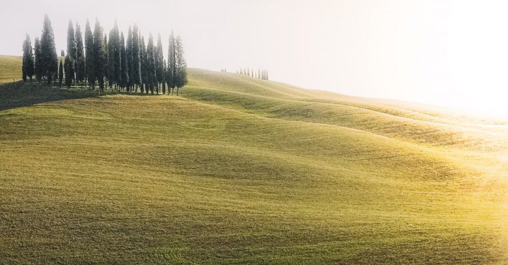 Vineyard Views - Free stock photo of agriculture, amazing, beautiful